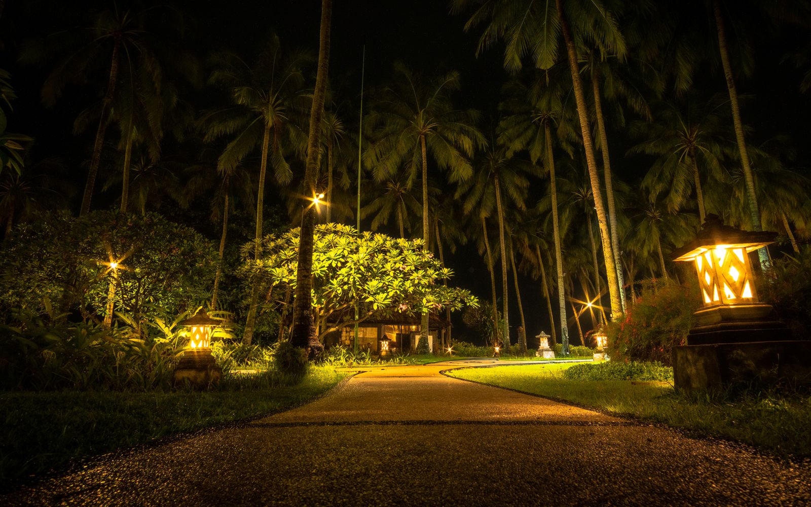 Path lighting at night